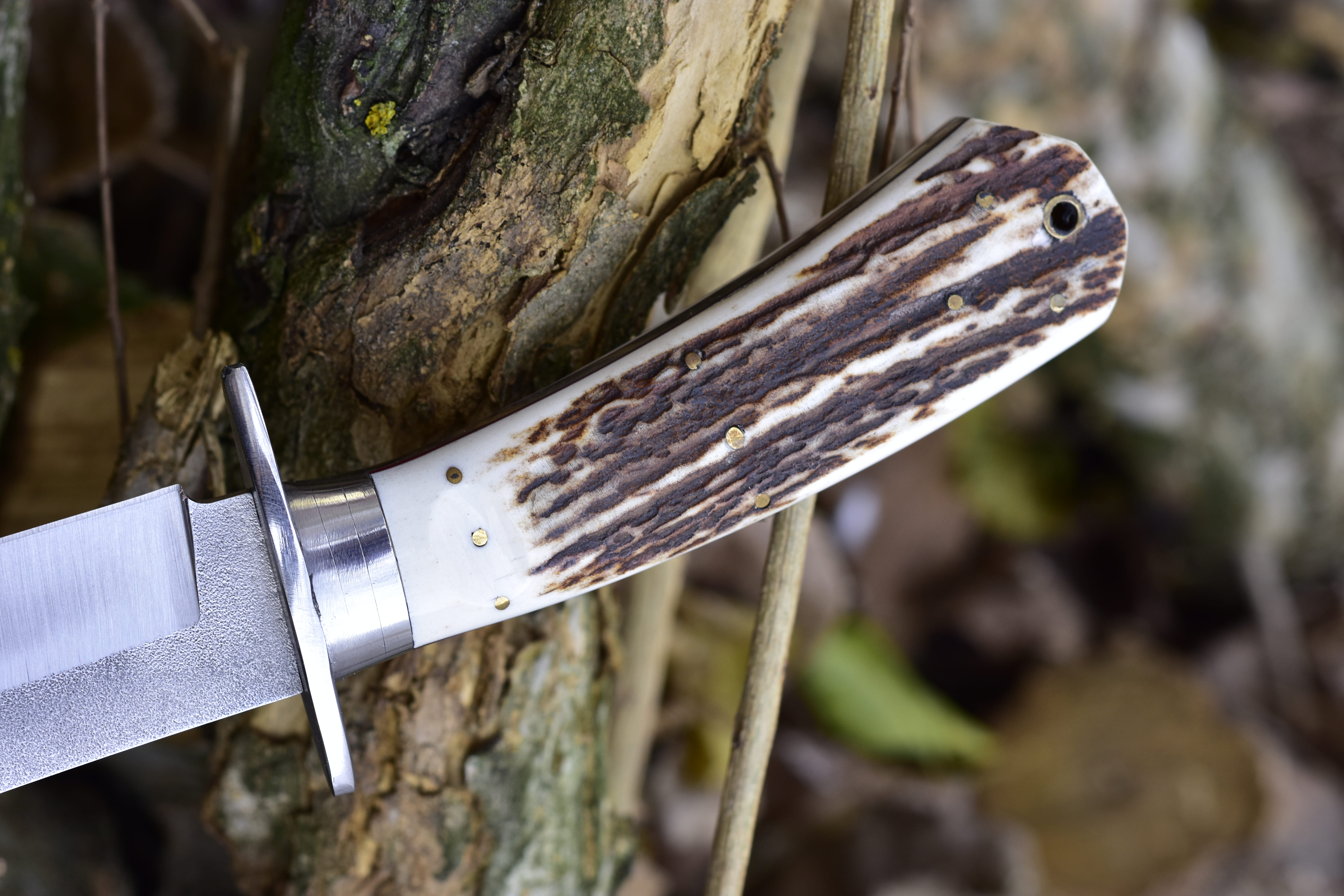 geyik kabza bowie